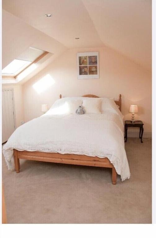 Owls Nest - Peace And Tranquility Near Woodbridge & Framlingham In Rural Suffolk Apartment Exterior photo